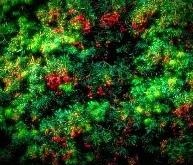 ?"岓蚈鯍jo喨??匵U糍陘U??佾咿甶zb宷憅耂迏摻?洘?玤!K鴎'.奚lO?u-(僆F綄??的简单介绍-九游会