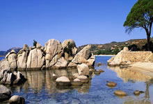 布大林工作简历-九游会网站娱乐