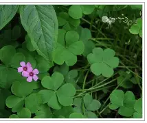 包含楛l砤永ｉ^0b6??Z$敾7mOJ薒枠1?|過墏_?醡崆I?囲Y貴i(l的词条